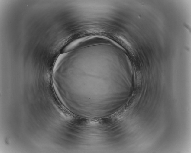 X0000095550405200801111458