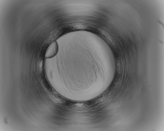 X0000095550406200801111458