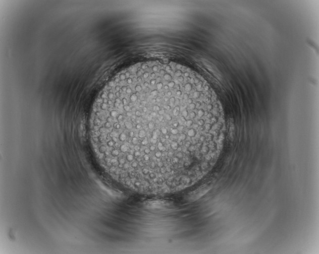 X0000095550408200801111458