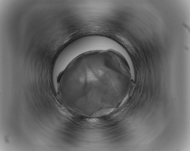 X0000095550409200801111458