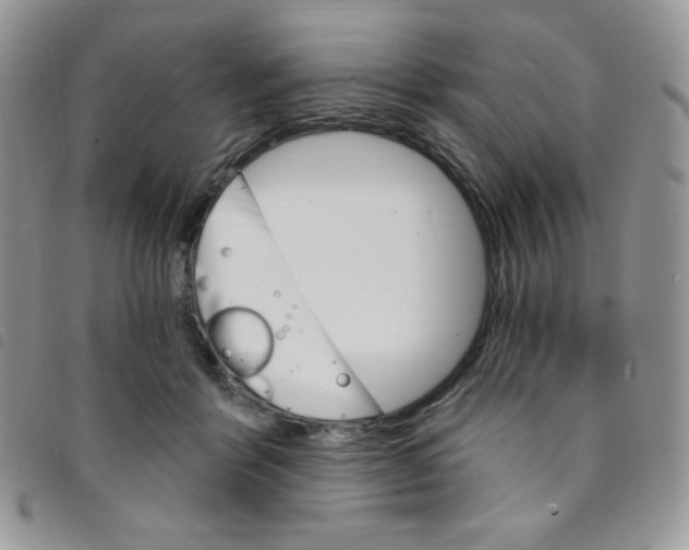 X0000095550412200801111458