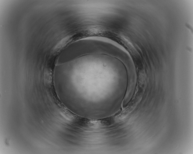 X0000095550413200801111458