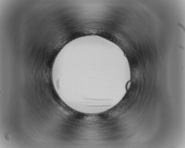 X0000095550414200801111458