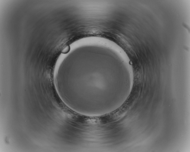 X0000095550415200801111458