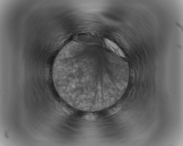 X0000095550416200801111458