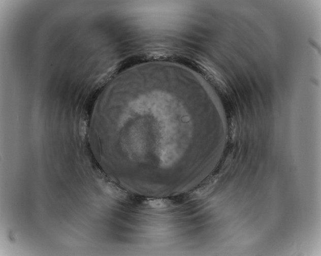 X0000095550417200801111458