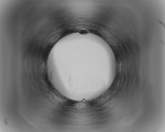 X0000095550418200801111458