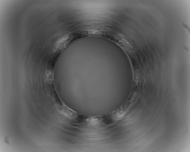 X0000095550419200801111458