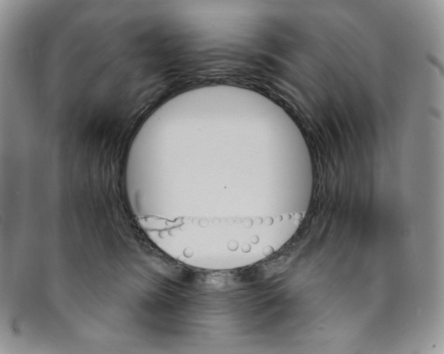 X0000095550420200801111458