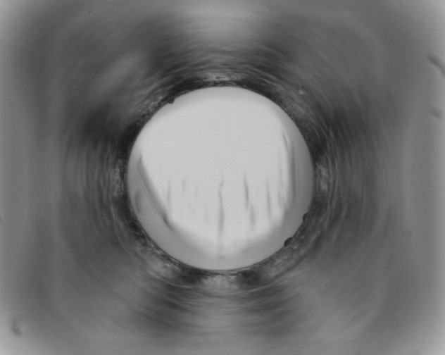 X0000095550422200801111458