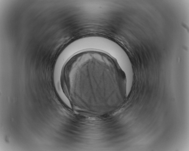 X0000095550423200801111458