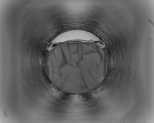 X0000095550424200801111458