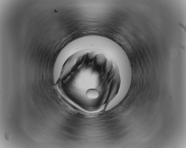 X0000095550425200801111458