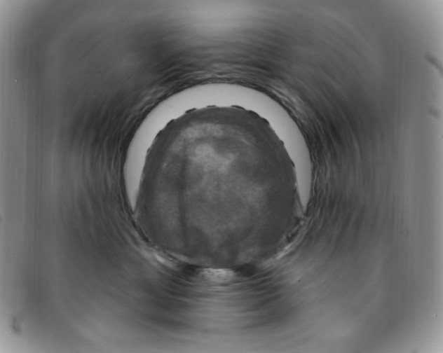 X0000095550429200801111458