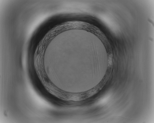 X0000095550431200801111458