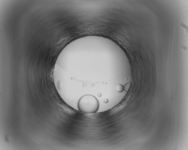 X0000095550432200801111458