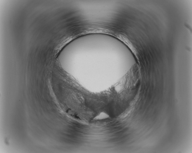 X0000095550433200801111457