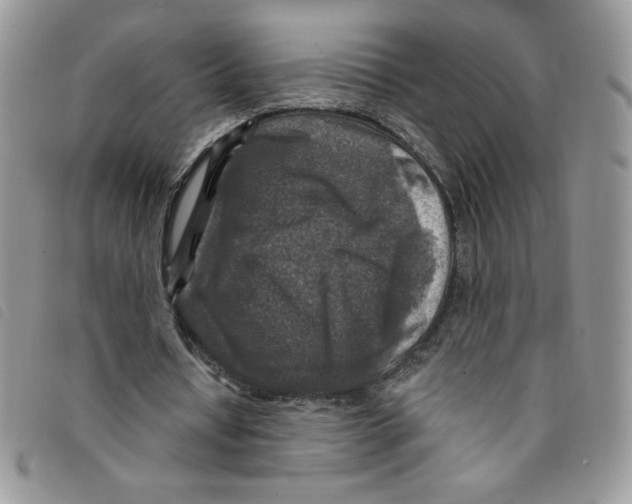 X0000095550434200801111457