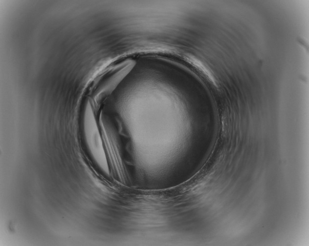 X0000095550436200801111457