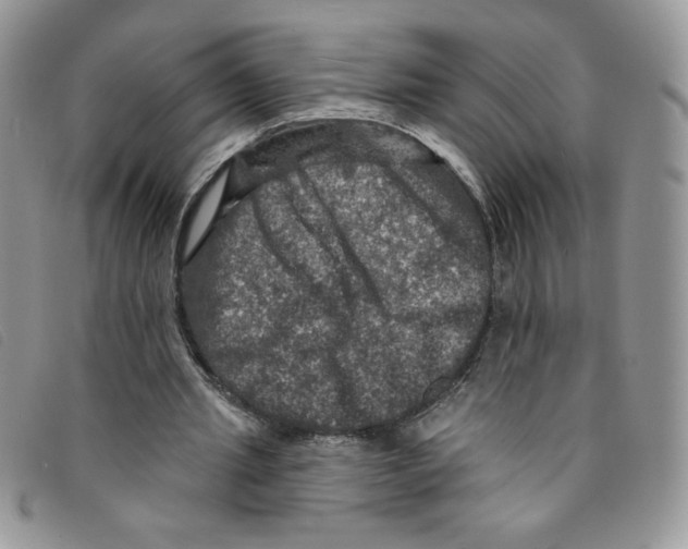 X0000095550437200801111457