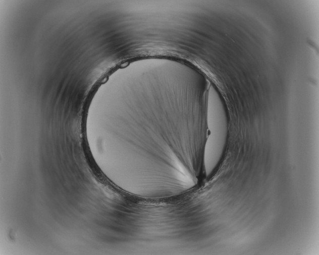 X0000095550438200801111457