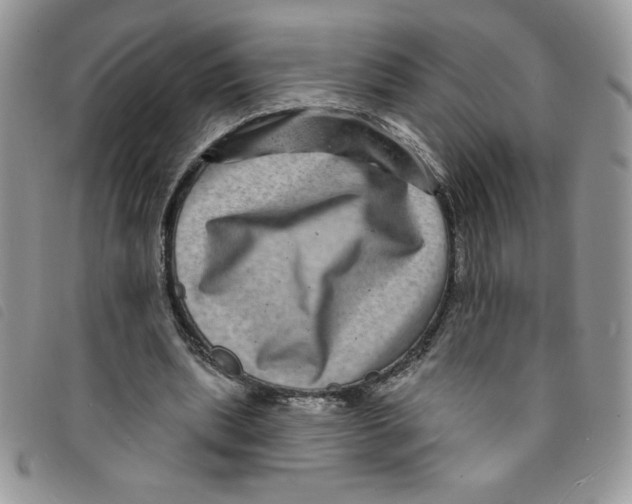 X0000095550439200801111457