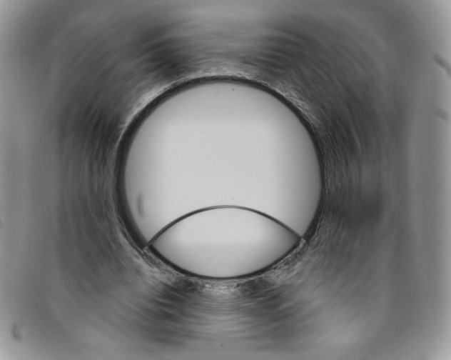 X0000095550440200801111457