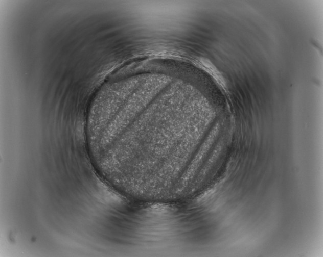 X0000095550441200801111457