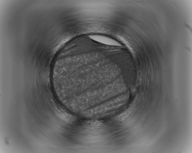 X0000095550443200801111457