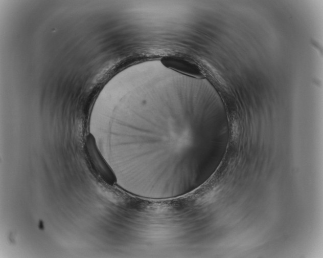 X0000095550444200801111457