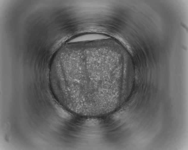 X0000095550445200801111457