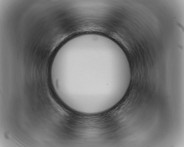 X0000095550448200801111457