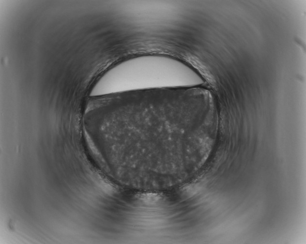 X0000095550449200801111457