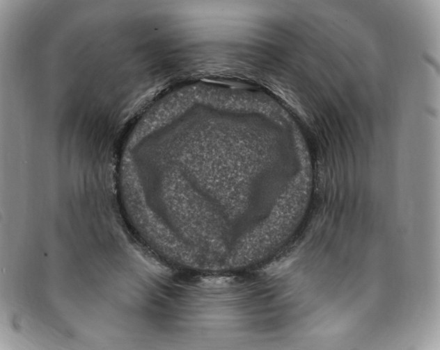 X0000095550450200801111457