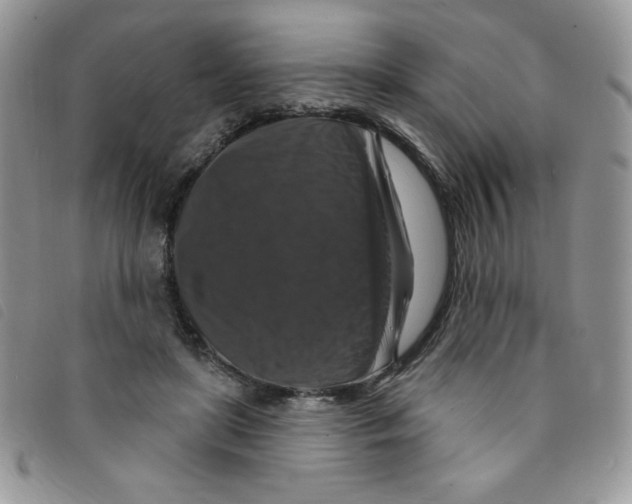 X0000095550451200801111457