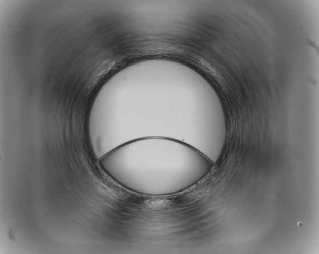 X0000095550452200801111457