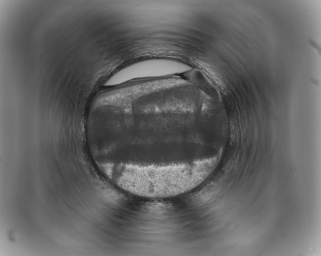 X0000095550453200801111457