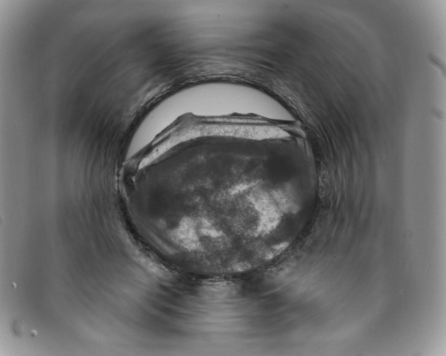 X0000095550454200801111457