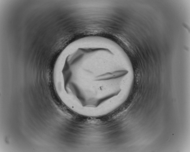 X0000095550455200801111457