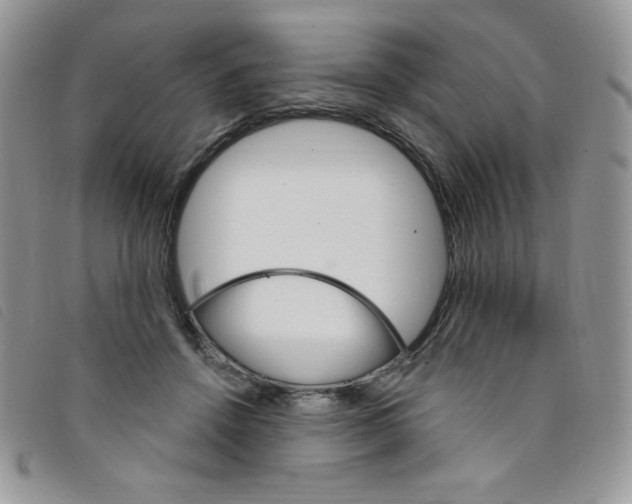 X0000095550456200801111457