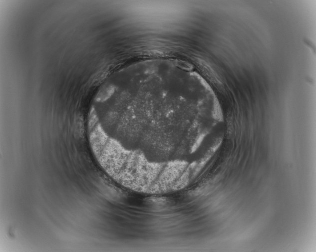 X0000095550457200801111457