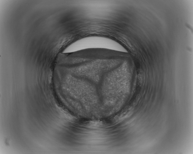 X0000095550458200801111457