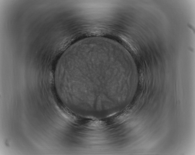 X0000095550459200801111457