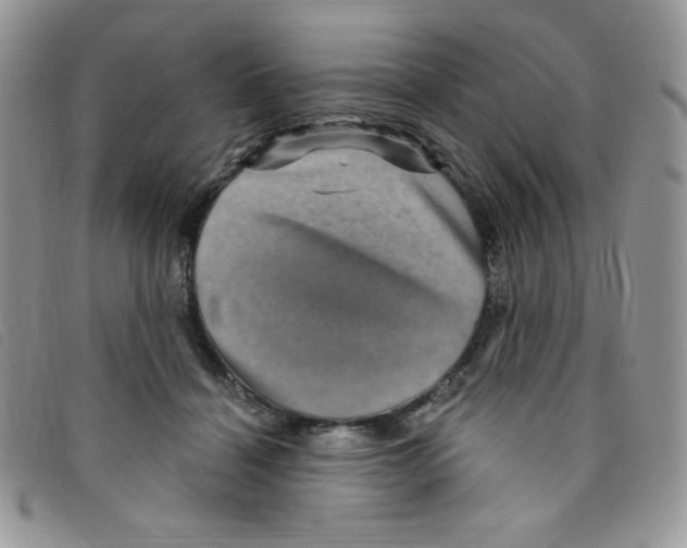 X0000095550460200801111457