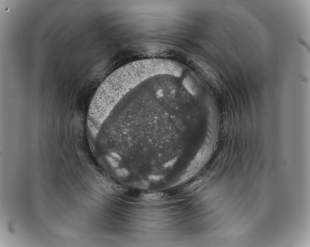 X0000095550461200801111457