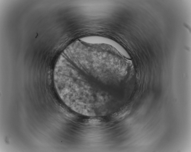 X0000095550462200801111457