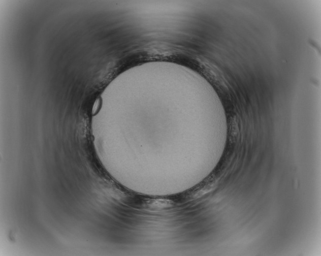 X0000095550463200801111457