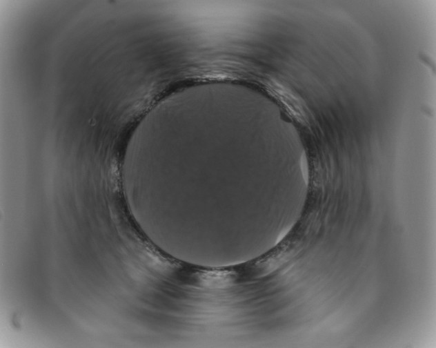 X0000095550465200801111457