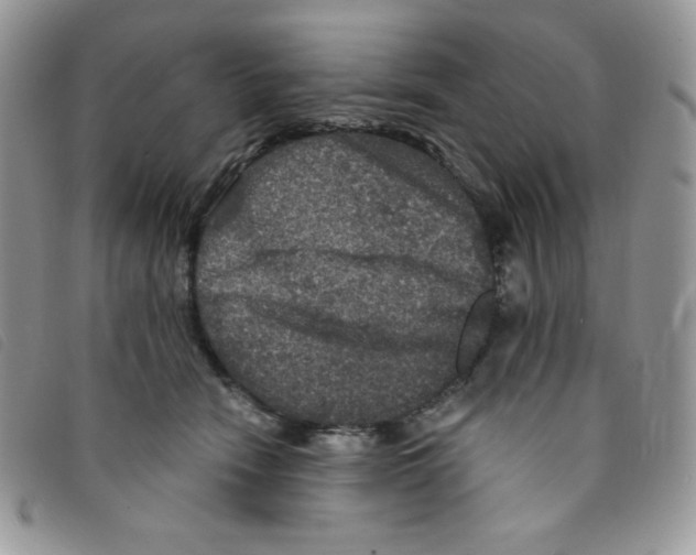 X0000095550466200801111457