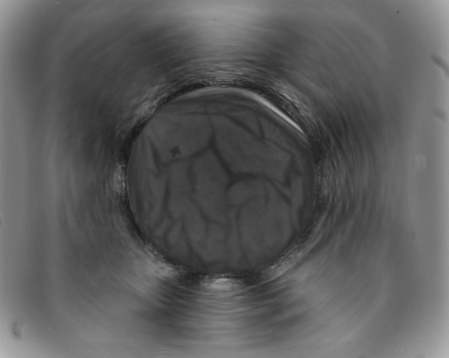 X0000095550467200801111457